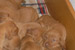 Puppies: The litter A